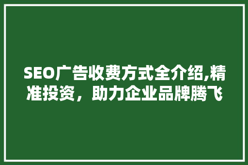 SEO广告收费方式全介绍,精准投资，助力企业品牌腾飞