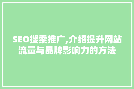 SEO搜索推广,介绍提升网站流量与品牌影响力的方法