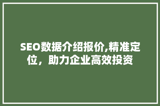 SEO数据介绍报价,精准定位，助力企业高效投资