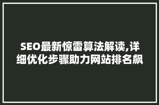 SEO最新惊雷算法解读,详细优化步骤助力网站排名飙升