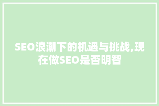 SEO浪潮下的机遇与挑战,现在做SEO是否明智