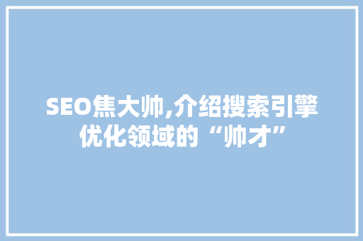 SEO焦大帅,介绍搜索引擎优化领域的“帅才”