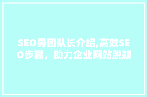 SEO男团队长介绍,高效SEO步骤，助力企业网站脱颖而出