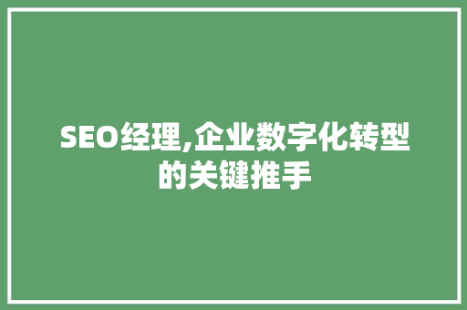 SEO经理,企业数字化转型的关键推手