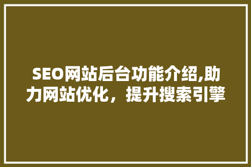 SEO网站后台功能介绍,助力网站优化，提升搜索引擎排名