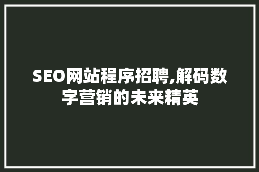 SEO网站程序招聘,解码数字营销的未来精英