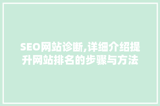SEO网站诊断,详细介绍提升网站排名的步骤与方法