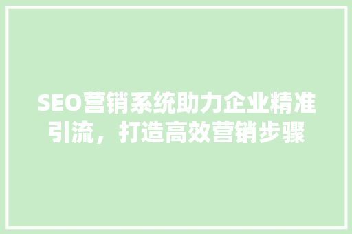 SEO营销系统助力企业精准引流，打造高效营销步骤