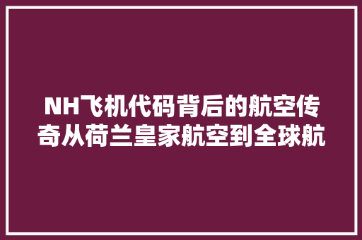 NH飞机代码背后的航空传奇从荷兰皇家航空到全球航线布局