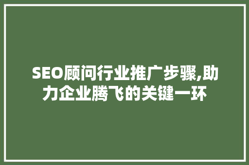 SEO顾问行业推广步骤,助力企业腾飞的关键一环