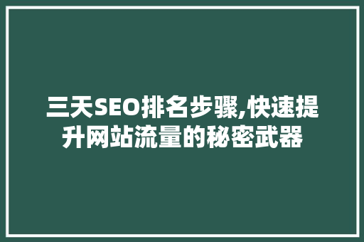 三天SEO排名步骤,快速提升网站流量的秘密武器