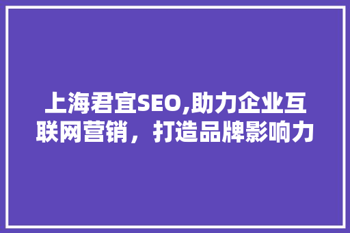 上海君宜SEO,助力企业互联网营销，打造品牌影响力新高度