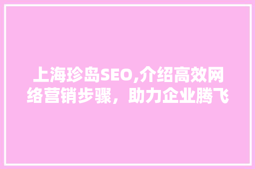 上海珍岛SEO,介绍高效网络营销步骤，助力企业腾飞