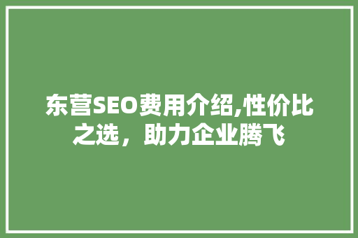 东营SEO费用介绍,性价比之选，助力企业腾飞