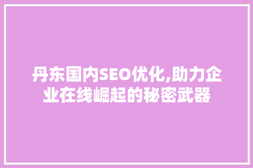 丹东国内SEO优化,助力企业在线崛起的秘密武器