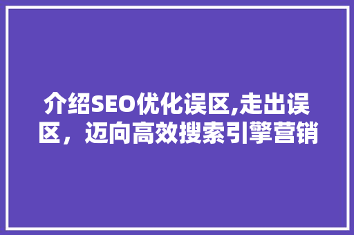 介绍SEO优化误区,走出误区，迈向高效搜索引擎营销
