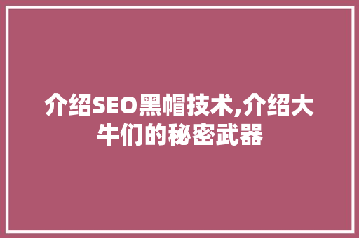 介绍SEO黑帽技术,介绍大牛们的秘密武器