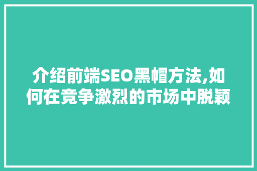 介绍前端SEO黑帽方法,如何在竞争激烈的市场中脱颖而出