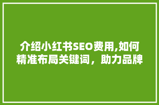 介绍小红书SEO费用,如何精准布局关键词，助力品牌成长