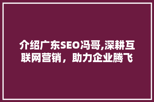 介绍广东SEO冯哥,深耕互联网营销，助力企业腾飞