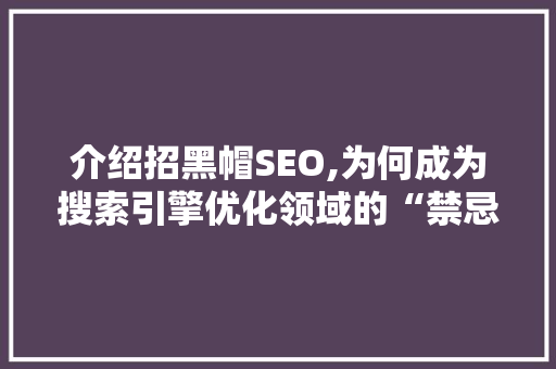 介绍招黑帽SEO,为何成为搜索引擎优化领域的“禁忌”