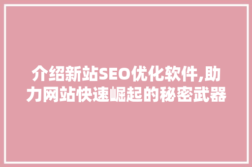 介绍新站SEO优化软件,助力网站快速崛起的秘密武器