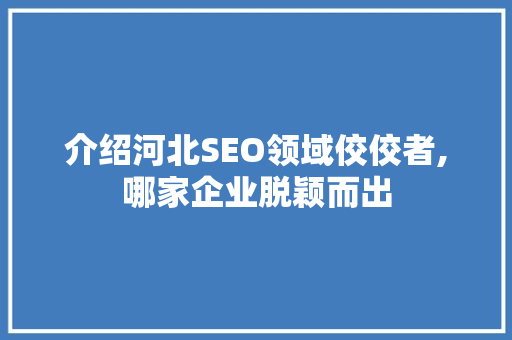 介绍河北SEO领域佼佼者,哪家企业脱颖而出