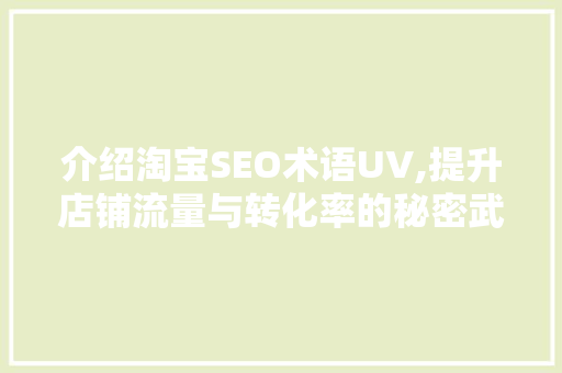 介绍淘宝SEO术语UV,提升店铺流量与转化率的秘密武器