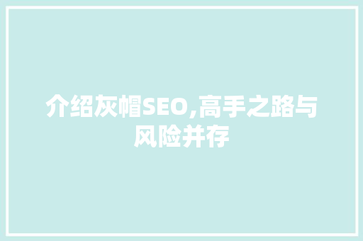 介绍灰帽SEO,高手之路与风险并存