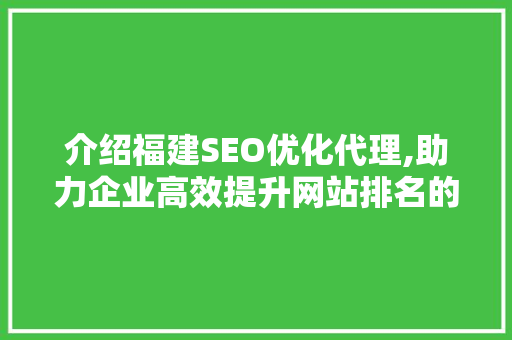 介绍福建SEO优化代理,助力企业高效提升网站排名的秘密武器