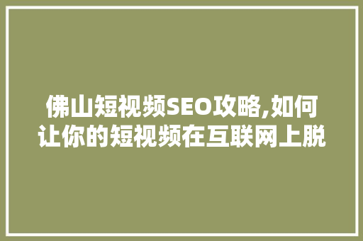 佛山短视频SEO攻略,如何让你的短视频在互联网上脱颖而出