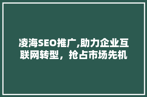 凌海SEO推广,助力企业互联网转型，抢占市场先机