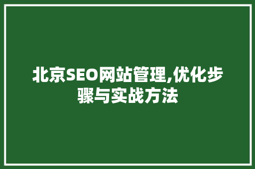 北京SEO网站管理,优化步骤与实战方法