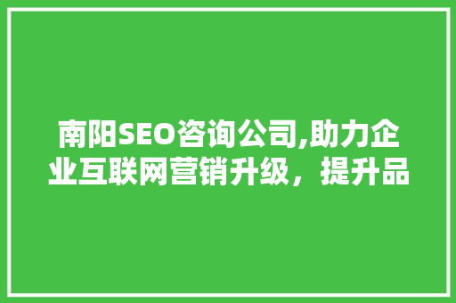 南阳SEO咨询公司,助力企业互联网营销升级，提升品牌影响力