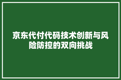 京东代付代码技术创新与风险防控的双向挑战
