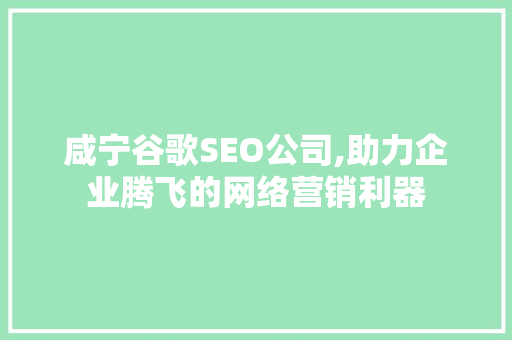 咸宁谷歌SEO公司,助力企业腾飞的网络营销利器