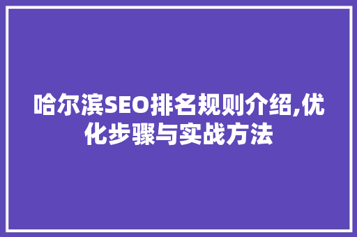 哈尔滨SEO排名规则介绍,优化步骤与实战方法