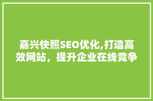 嘉兴快照SEO优化,打造高效网站，提升企业在线竞争力