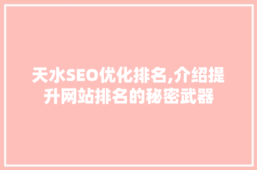天水SEO优化排名,介绍提升网站排名的秘密武器