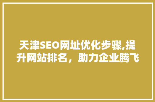 天津SEO网址优化步骤,提升网站排名，助力企业腾飞