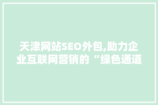 天津网站SEO外包,助力企业互联网营销的“绿色通道”