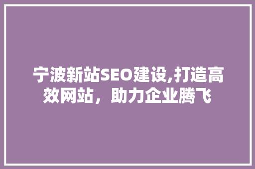 宁波新站SEO建设,打造高效网站，助力企业腾飞