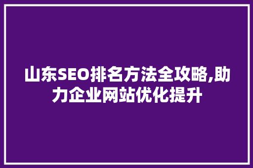 山东SEO排名方法全攻略,助力企业网站优化提升