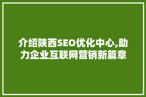 介绍陕西SEO优化中心,助力企业互联网营销新篇章