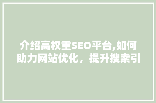 介绍高权重SEO平台,如何助力网站优化，提升搜索引擎排名