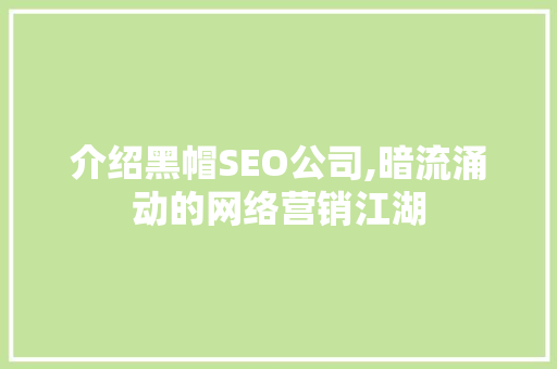 介绍黑帽SEO公司,暗流涌动的网络营销江湖