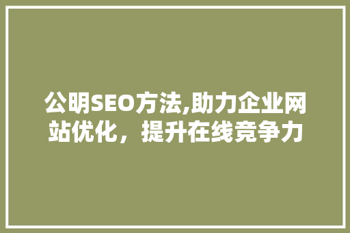 公明SEO方法,助力企业网站优化，提升在线竞争力