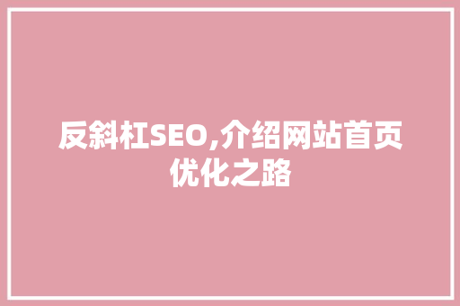 反斜杠SEO,介绍网站首页优化之路