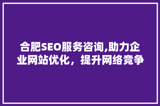 合肥SEO服务咨询,助力企业网站优化，提升网络竞争力