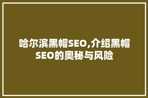 哈尔滨黑帽SEO,介绍黑帽SEO的奥秘与风险